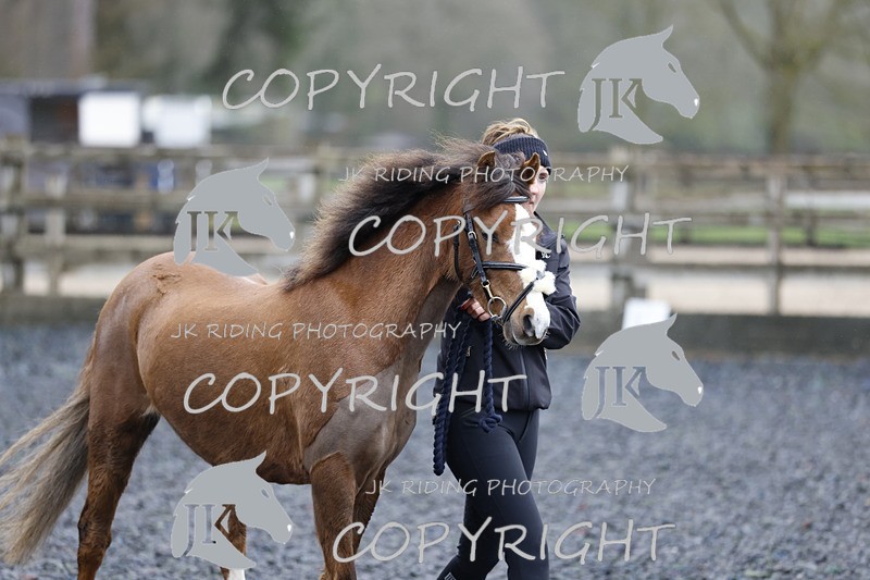 _R6A8087 - Class 1 X poles