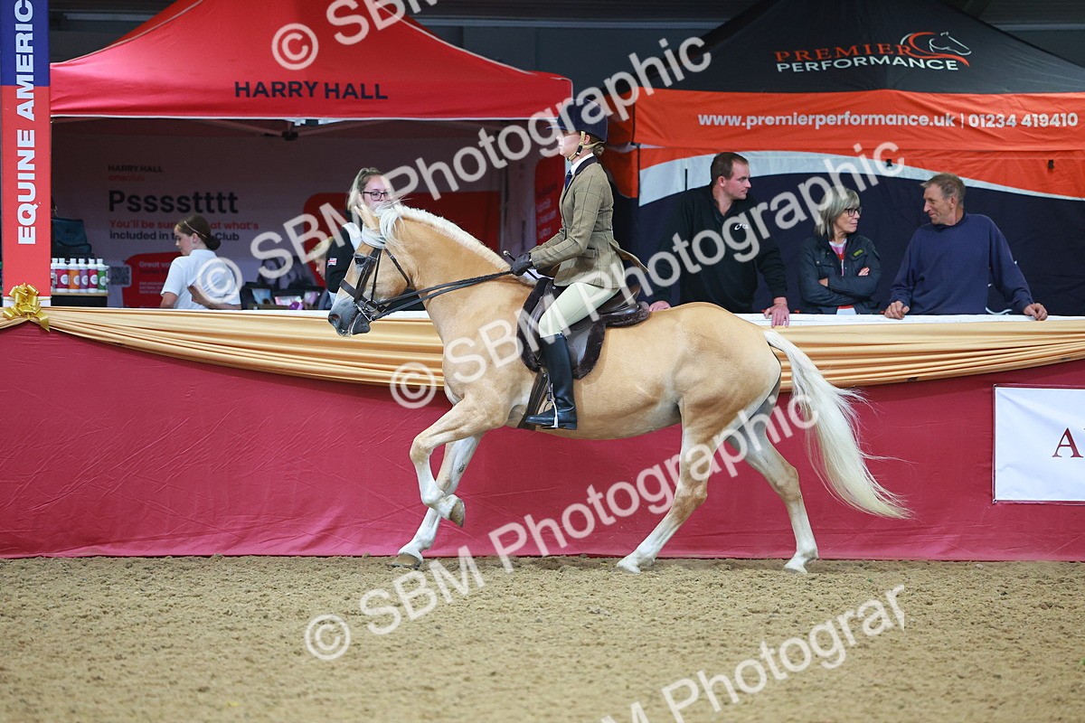 SBM_09790 - Class 102 - HOYS Veteran Qualifier - Ridden Veteran