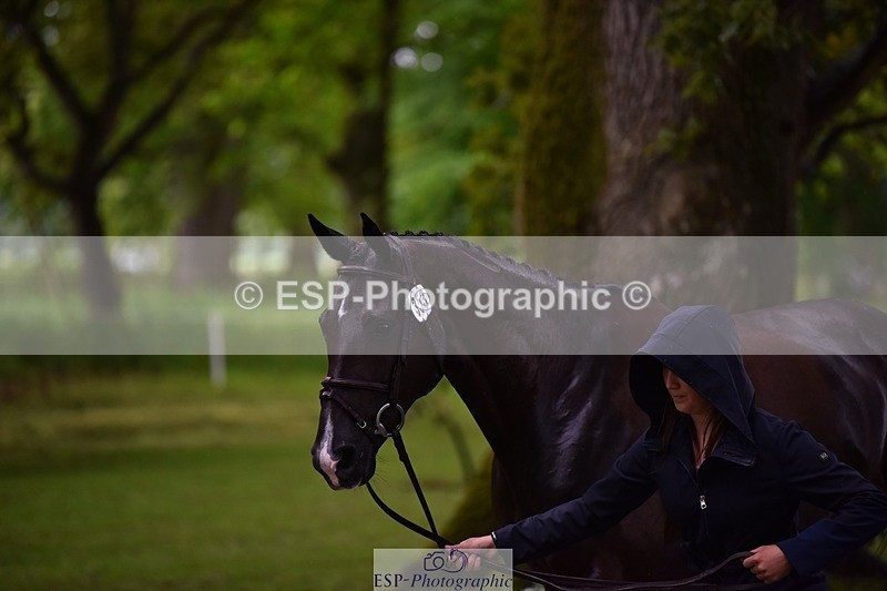 240522-152606-00338 - 353-BIKINI-Rose_De_Montmorency