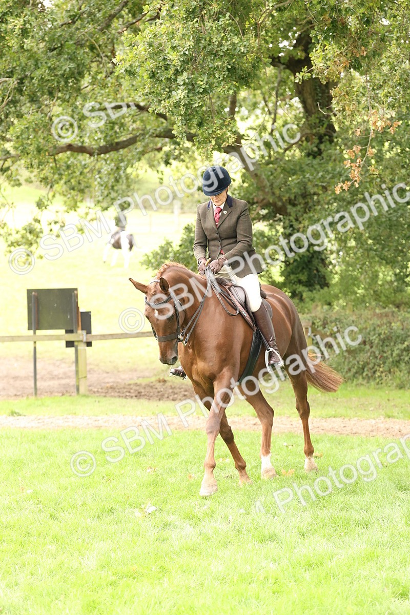 SBM_66319 - S66 - Hunter Ridden