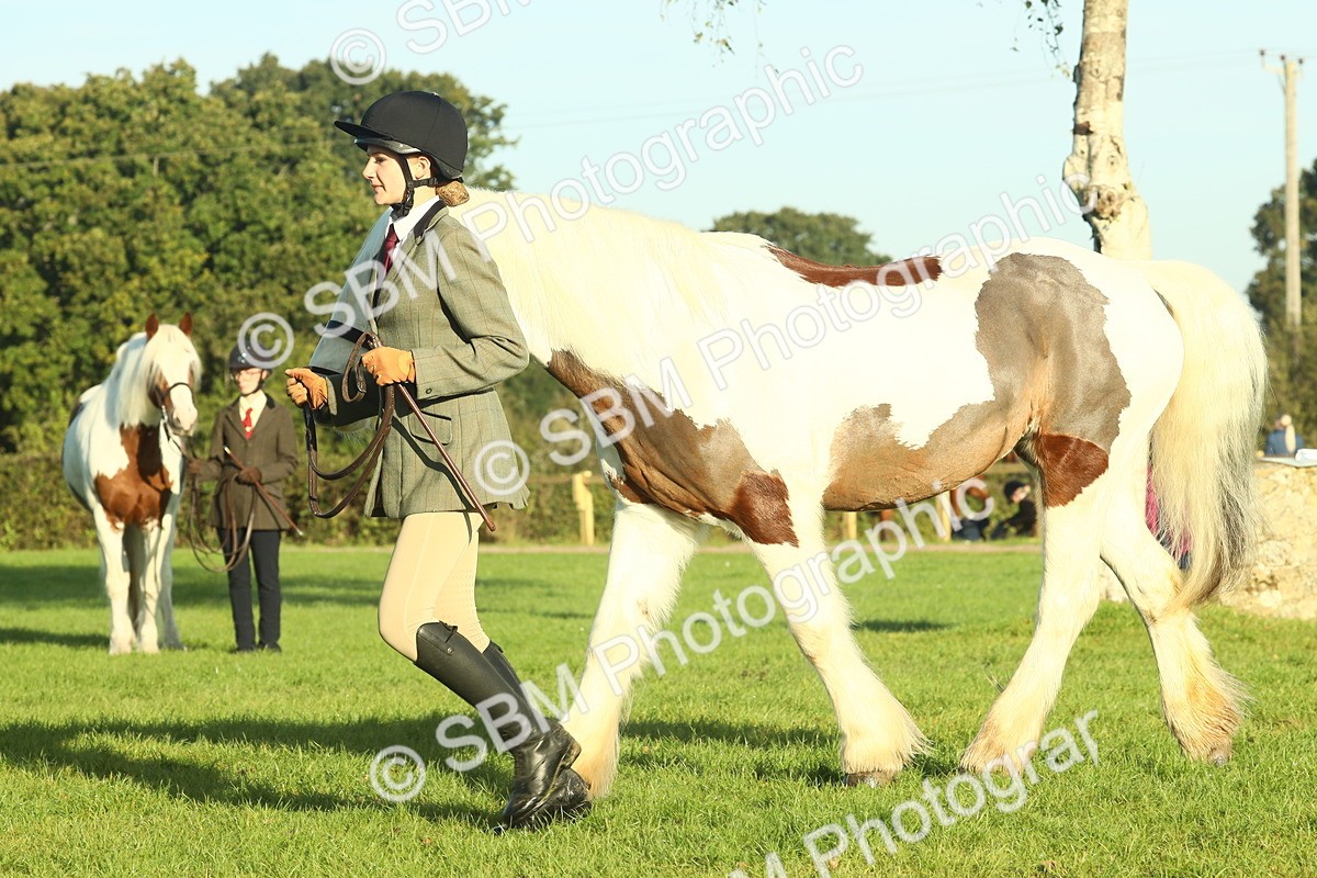 SBM_57436 - S37 - Starters In Hand Showing