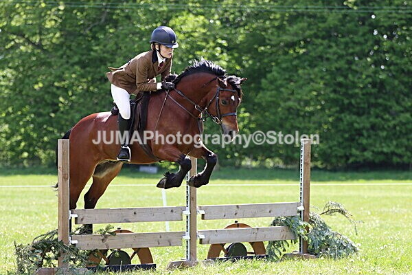 IMG_3758 - Working Hunter