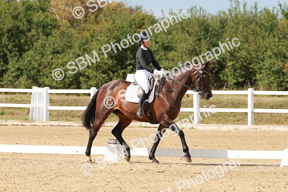 SBM_002456 - Class 11 - Medium 6