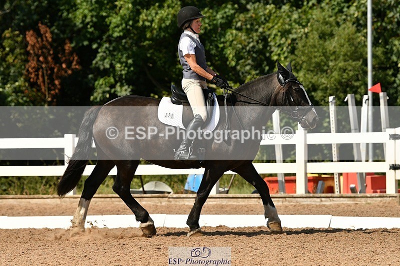 250817-145040-10301 - 220-Pauline.MalinsArdlea.Sweet.Beauty