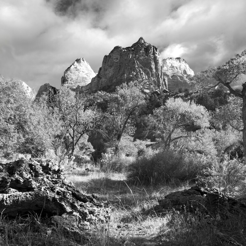 Zion National Park Utah USA - Monochrome