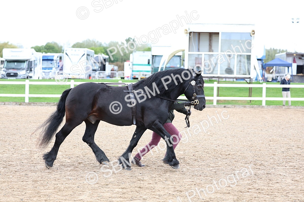 SBM_01275 - Class 16 - IH M&M Wildcard