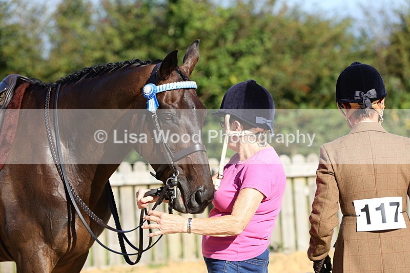 1X9A7616 - Class 7: Novice Ridden Hunter/Hack/Cob/Riding Horse