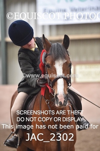 JAC_2302 - CLASS 2 Novice Working Hunter
