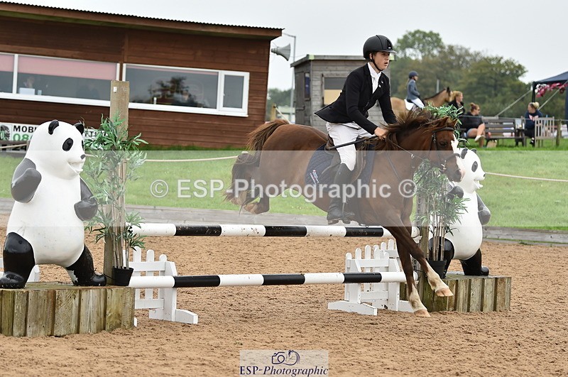 230902A-113912-00787 - Cls 2B Pony Small 80cm