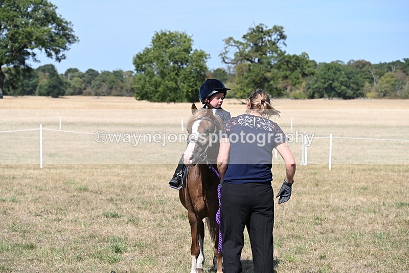 WJ6_9502 - Class 40 Cheekiest Pony/Horse
