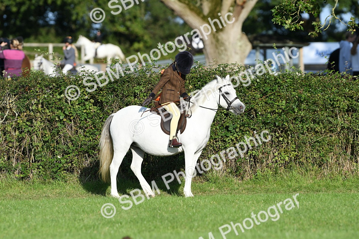 SBM_54052 - S23 - 1st Ridden Mountain & Moorland Pony