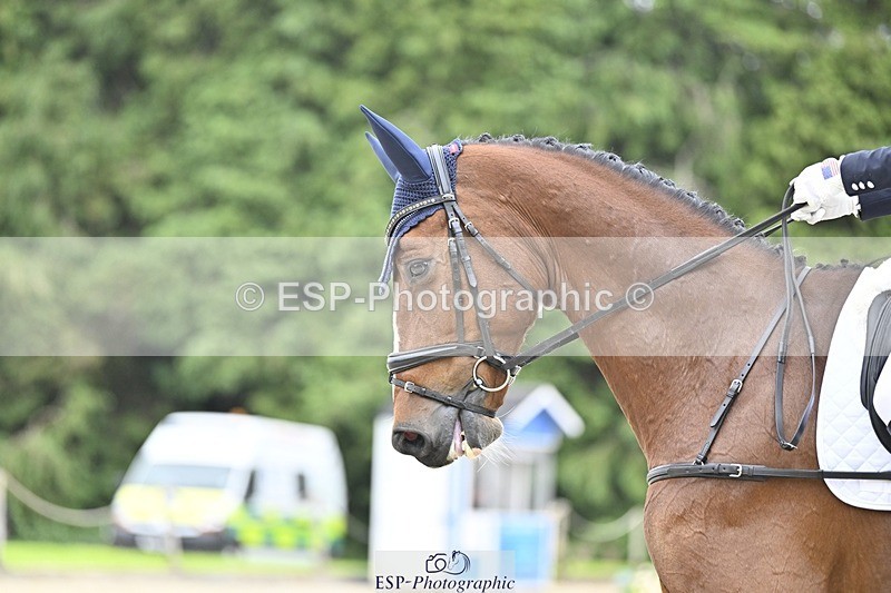 240523-170048-05603 - 449-REDFIELD_FYRE-Cassie_Sanger