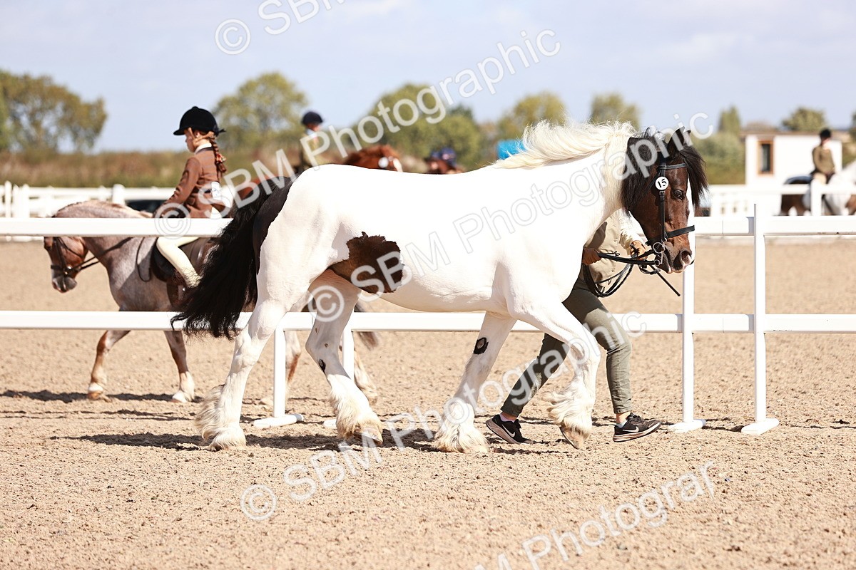 SBM_22954 - Class 707 - IH groom Helpers Class