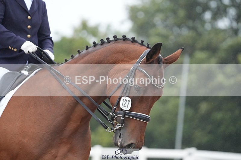 250907-143619-07810 - 127-Kathryn.LittleQuietly.Does.It