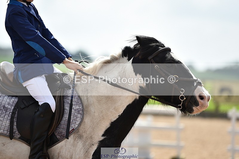 230902A-130606-01314 - Cls 3A Pony Medium 80cm