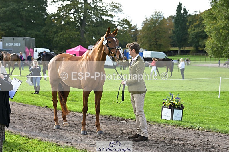 241023-132421-00265 - 017-Louis.Pern-CLASSICTOP.MISS.VIVIENNE