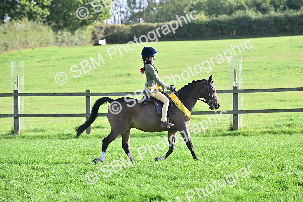 SBM_51294 - S22 - First Ridden show and show Hunter Pony