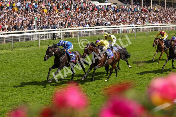 290723-Race 3-Alflaila-3852 - Race 3 3.15pm Sky Bet York Stakes (Group 2)