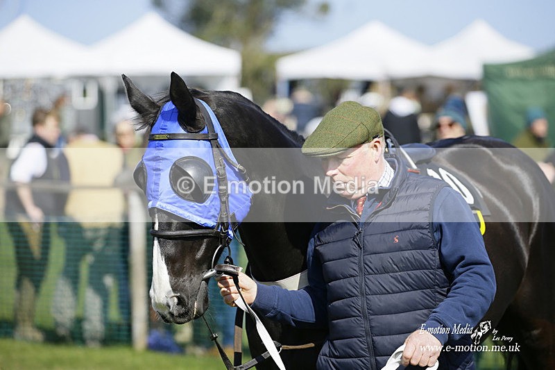 PtP 190322 342 - Wilton Hunt PtP Milborne St Andrew 19/03/22