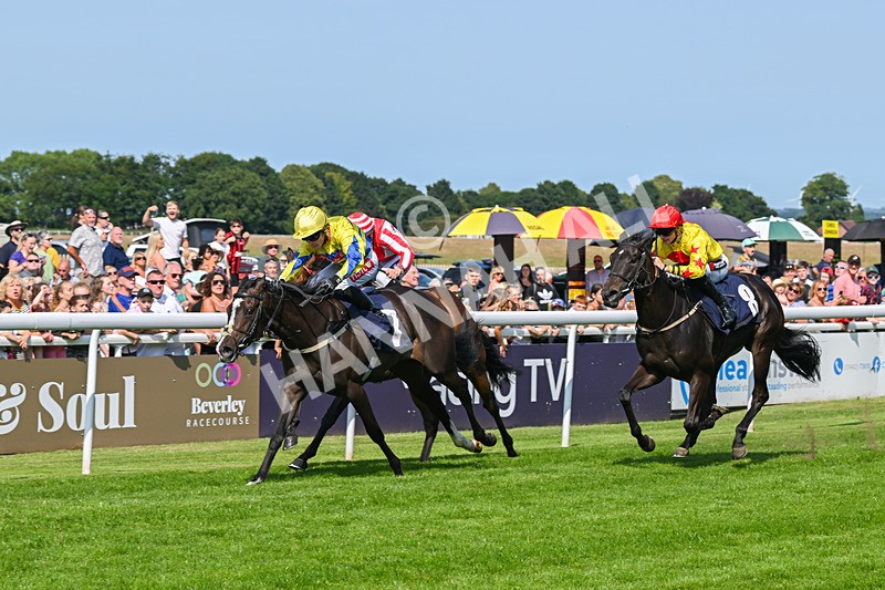 300724-Race 3-Forager-9367 - Race 3