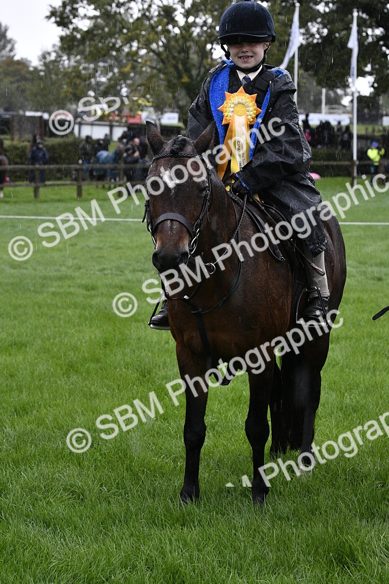 SBM_35582 - S30 - Nursery Stakes Working Hunter Pony