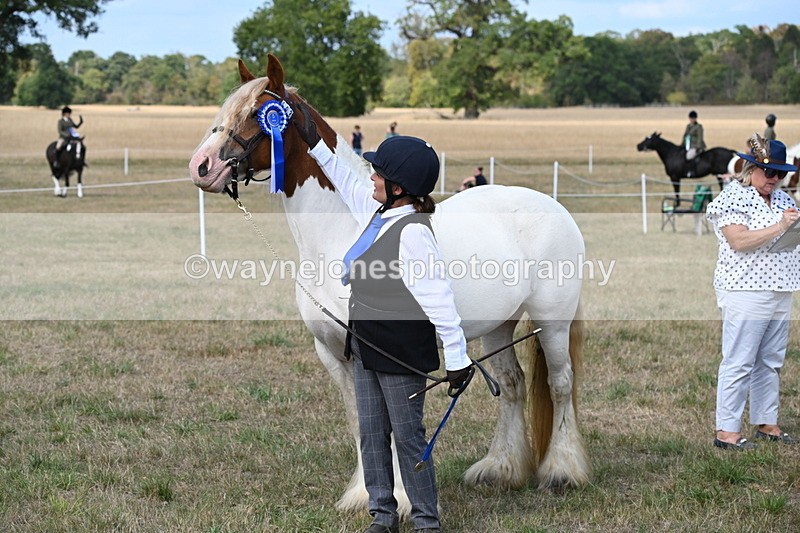 WJ6_6718 - Class 20 In-hand Cob