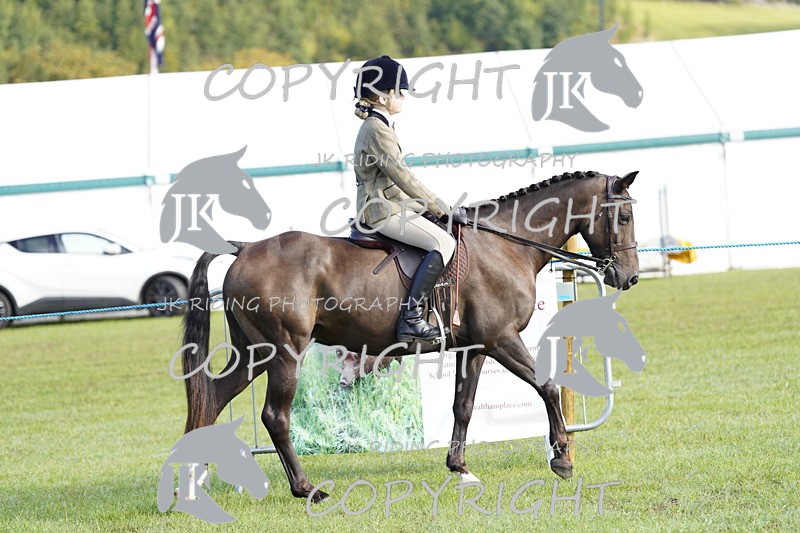 _DSC9302 - Class 8 & 17 Ridden Hunter & Ridden Hunter Pony