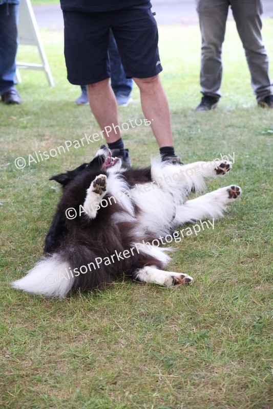20250607-0472 - Best in Show