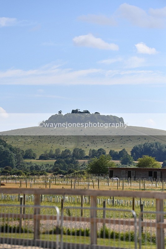 WJ5_5467 - Poles on the Floor