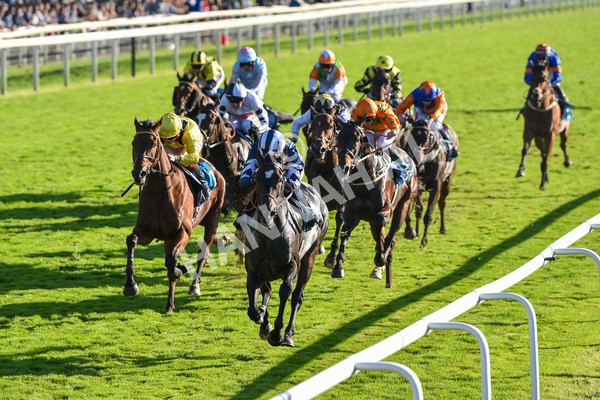 141023-Race 5-Certain Lad-1338 - Race 5 3.35pm Coral Racing Bet Bundles Handicap