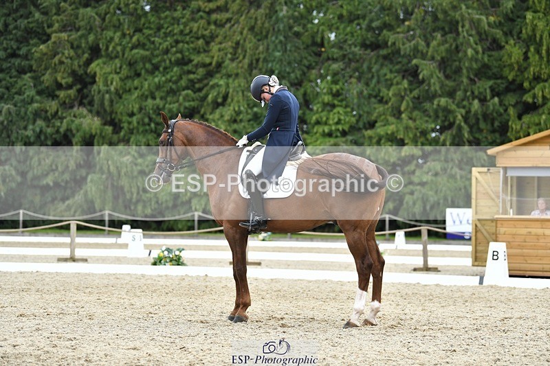 230812-140659-04598 - Cls 7 FEI PSG Bronze