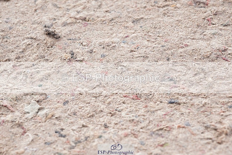 250425-091142-08322 - Cls 26 Young Horse 5yr old