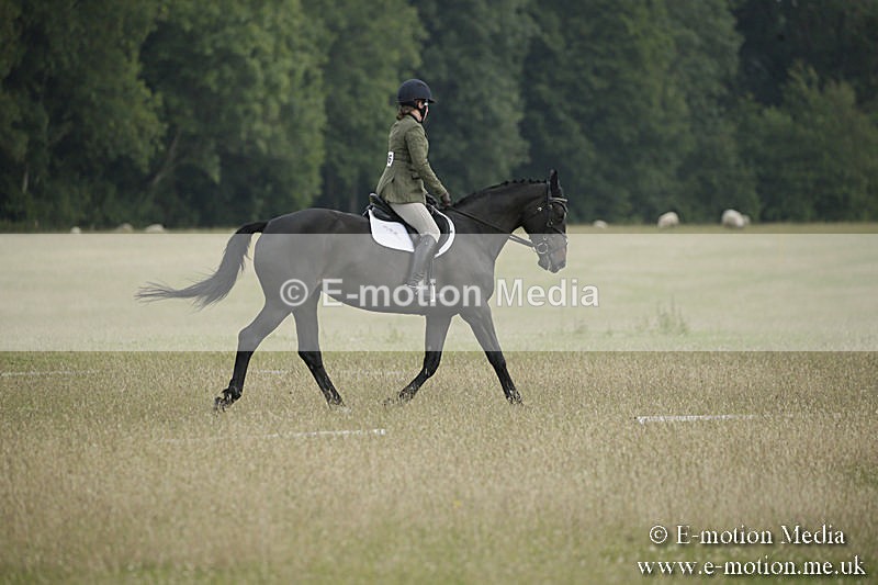 B230619-0153 - Bourne Valley Riding Club Summer Show 23/06/19