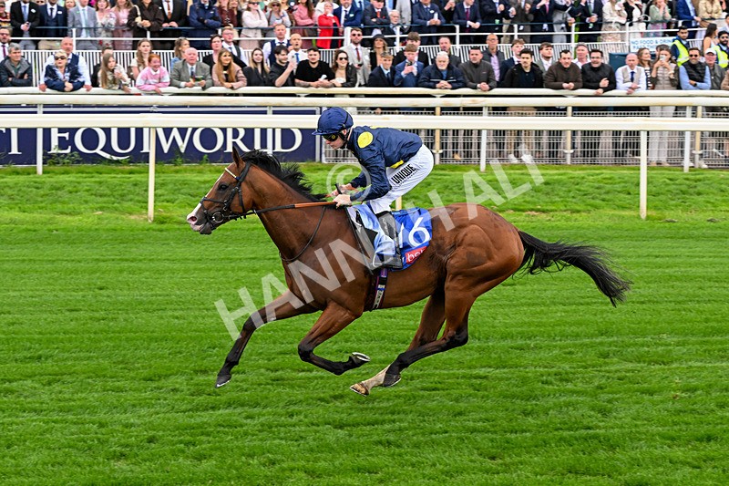 130626-Race 2-Extremely Zain-0919 - Race 2 14.25pm Sky Bet Supporting Macmillan Handicap