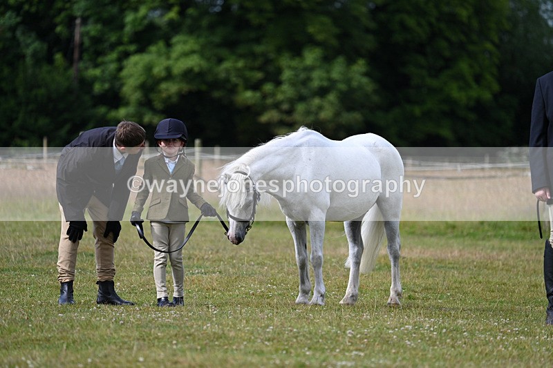 WJ7_4544 - Class 1 Lead Rein Pony