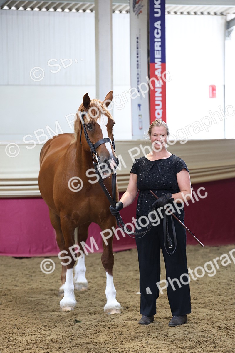 SBM_23350 - Class 903 - Supreme Final - IH Pre Vet