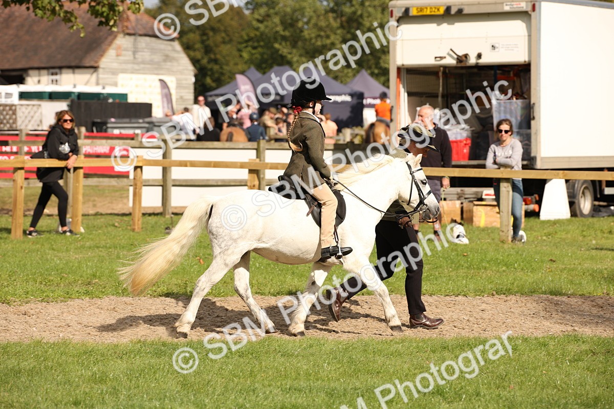 SBM_49996 - S26 - Young Veteran - Ridden