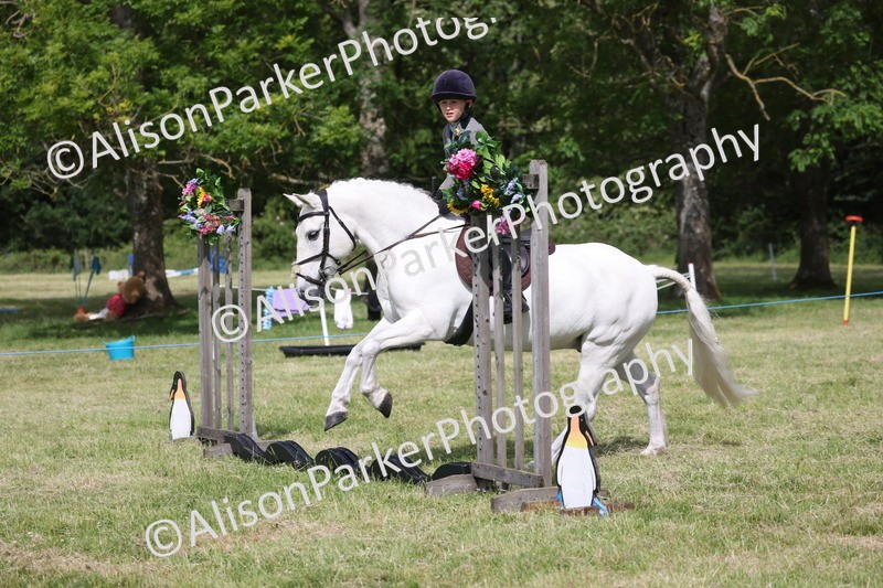 20260614-0545 - Class 20 - Beginners Working Hunter Pony