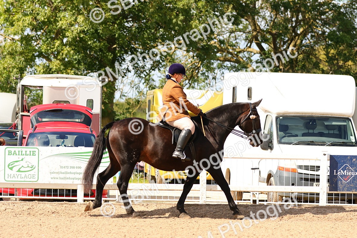 SBM_13433 - Class 212 - Ridden Hunter  - Large