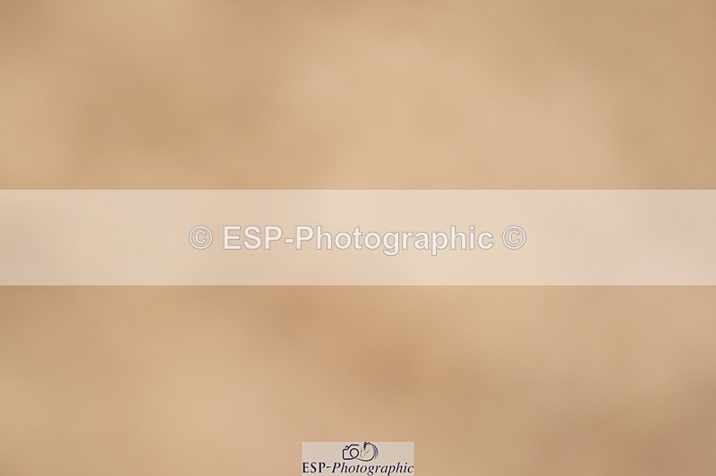 240317A-115442-05773 - Cls 26 National 1.30m Open