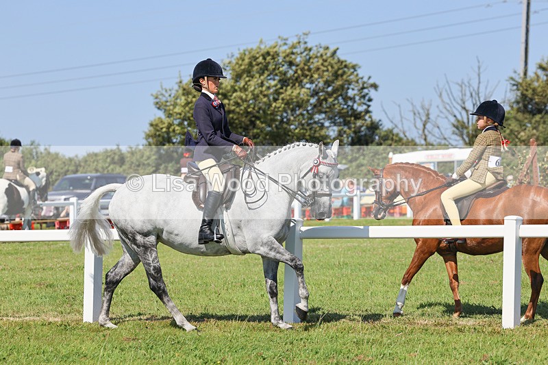 IMG_1898 - Class 33: Show Pony 148cm and under