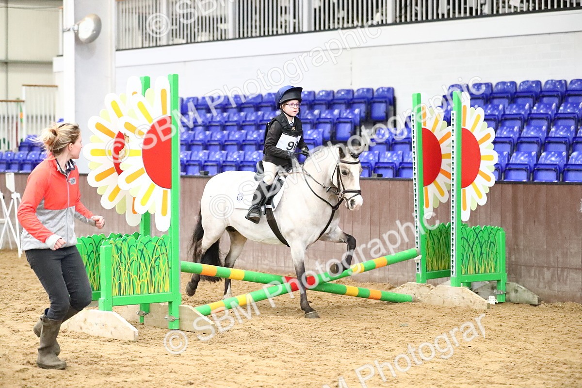 SBM_000677 - Class 2 - 40cm