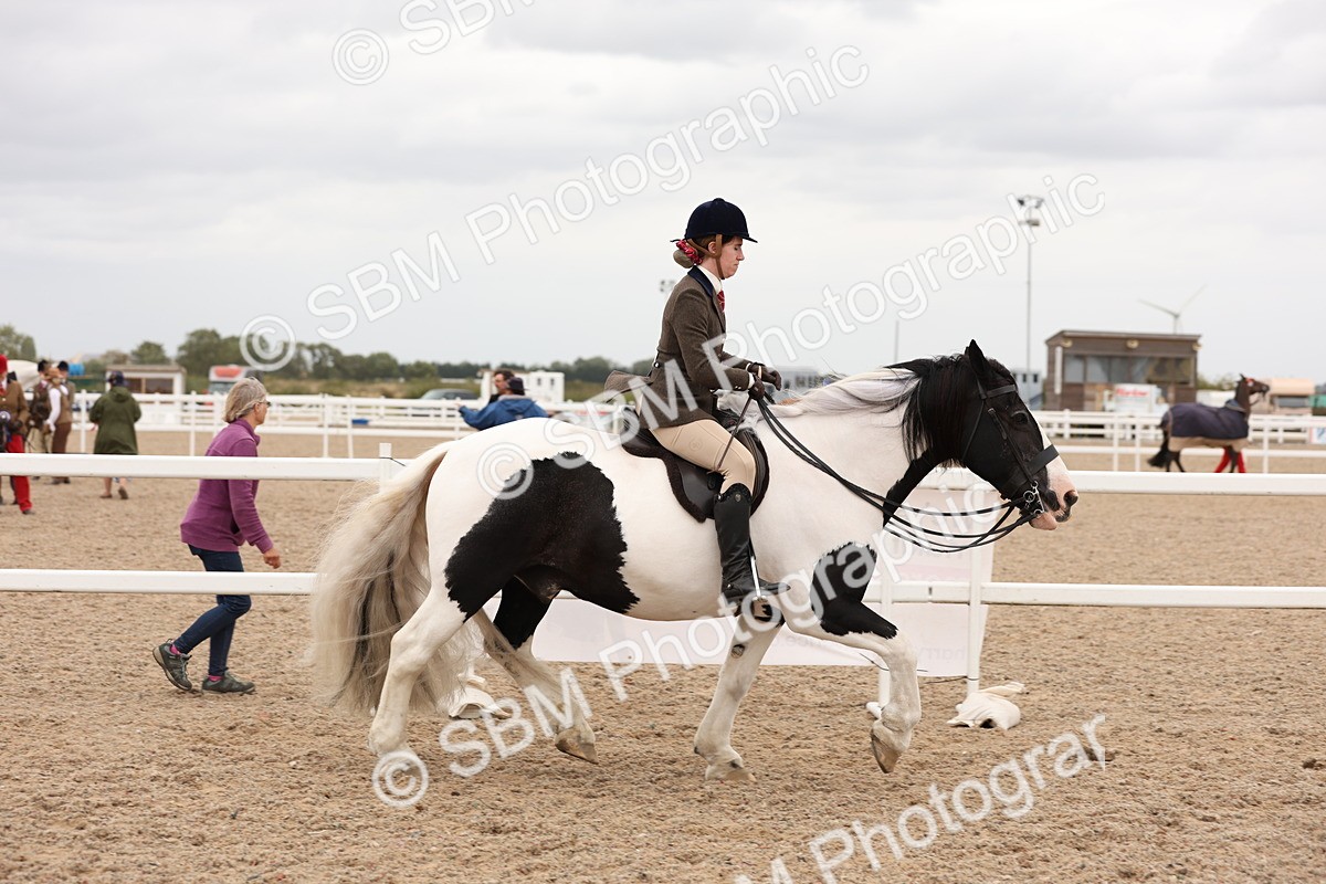 SBM_19759 - Class 216 - Ridden Traditional - Native Cob