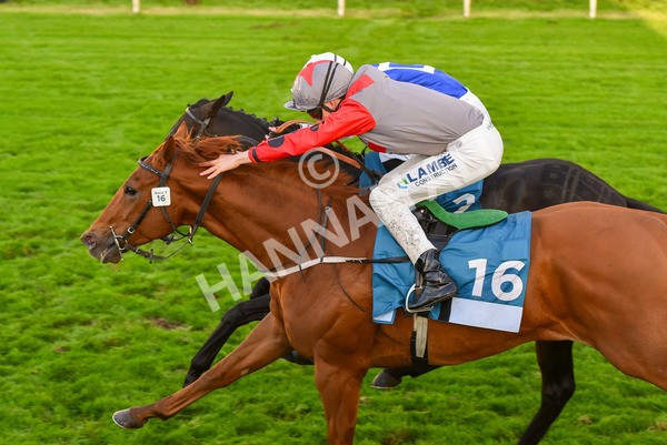 131023-Race 7-Thunder Roar-0152 - Race 7 5.35pm Visit Irish Bloodstock Sales With ITM Apprentice Handicap