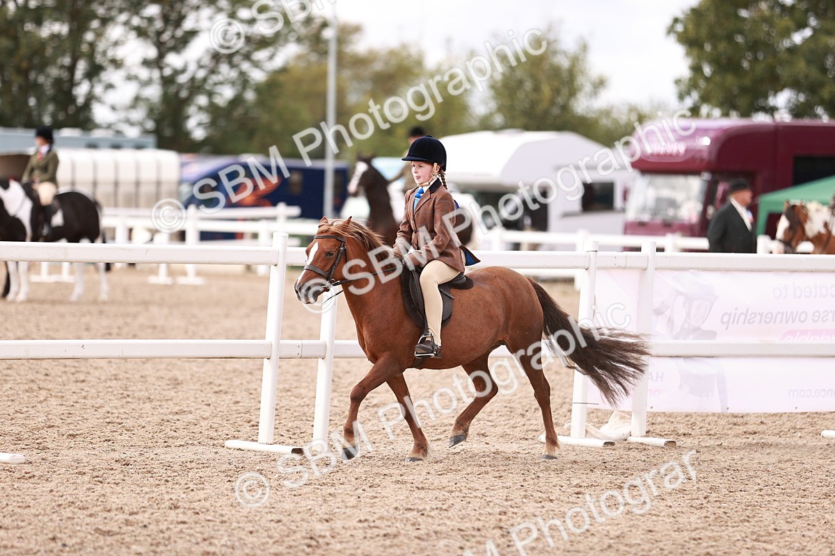 SBM_14364 - Class 409 - Grassroots Ridden - Pony