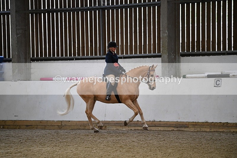 WJ5_6459 - Class 9 Ridden Veteran