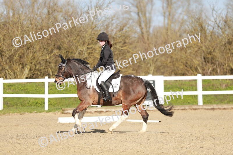 20260314-5294 - DR4 - Prelim 2