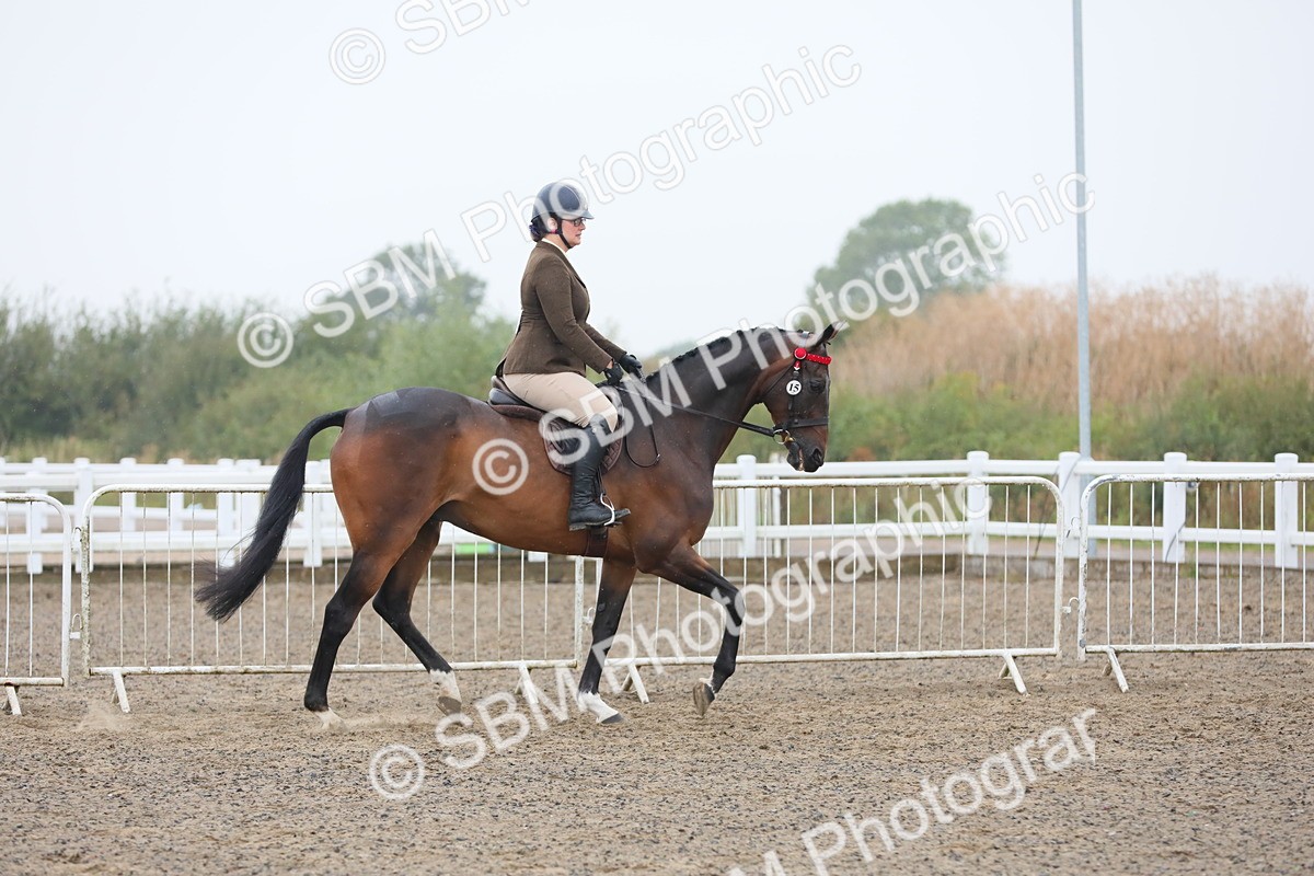 SBM_20010 - Class 802 - Ridden Groom - Helpers class