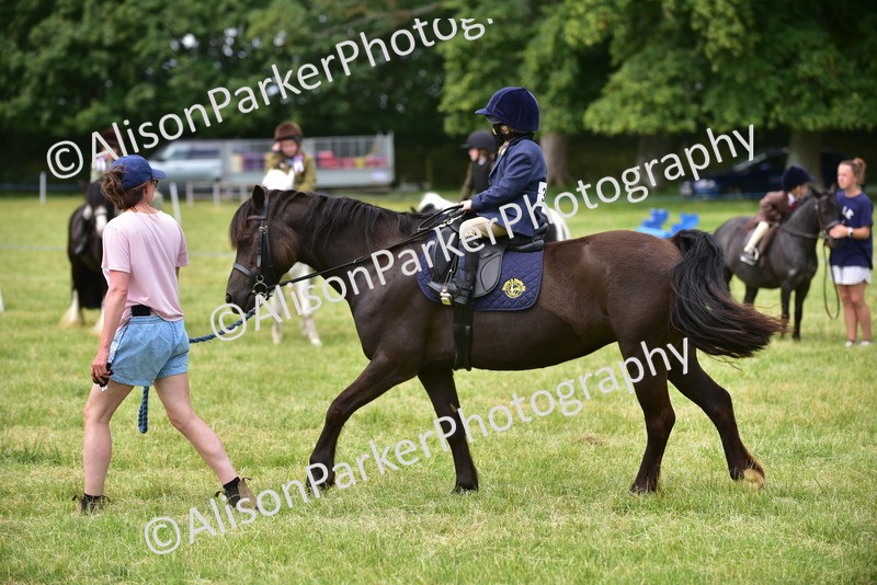 20260614-3667 - Class 15 - Prettiest Mare