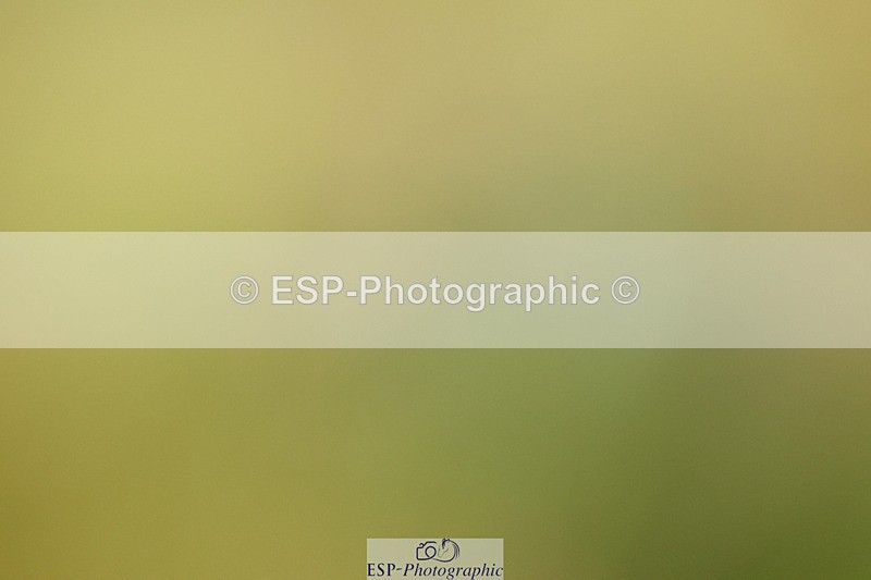 240824X-084516-21860 - D70 Section C and D 8.30 to 9.30